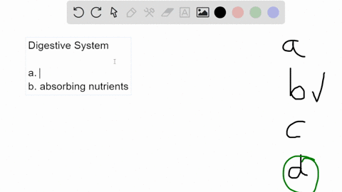 a-digestive-system-functions-in-_____-a-secreting-enzymes-b-absorbing-compounds-c-eliminating-wastes-75226