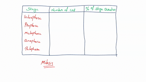 table-3-percentage-of-onion-root-tip-cells-in-each-stage-of-the-cell-cycle-number-of-cells-total-number-of-of-cclls-in-stage-obscrvcd-in-stags-cells-stage-interphase-mitosis-prophase-mitosis-74333
