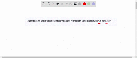 testosterone-secretion-essentially-ceases-from-birth-until-puberty-true-or-false-2-81664