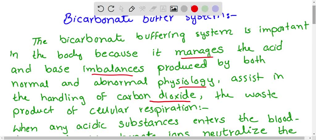 Solved Among The Most Important Ph Buffer Systems In Humans Is The Bicarbonate Buffer Which