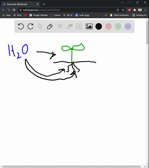 imagine-yourself-as-a-water-molecule-in-the-soil-solution-of-a-forest-in-a-short-essay-100-150-words-06115