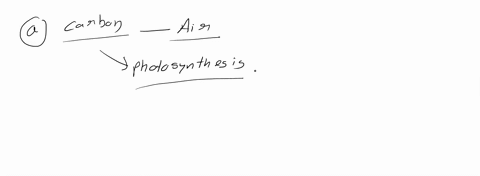 plants-obtain-all-of-the-following-elements-from-the-soil-except-select-one-a-carbon-b-nitrogen-c-potassium-d-sulfur-e-zinc-18632