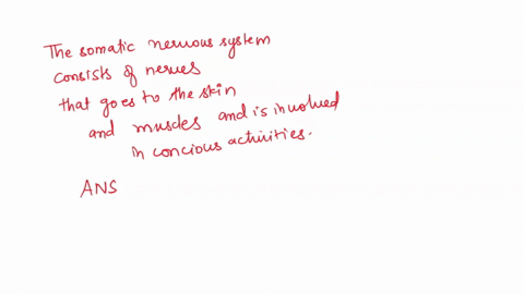 question-21-4pts-what-is-similar-about-the-autonomic-and-somatic-nervous-systems-both-have-smooth-muscle-as-effectors-both-have-skeletal-muscle-effectors-both-cansend-information-to-the-cent-93648