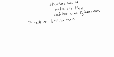 which-one-of-these-correctly-describes-the-location-of-the-organof-cortia-between-the-tympanic-membrane-and-the-oval-window-in-theinner-earb-in-the-utricle-and-saccule-within-the-vestibulec-00505