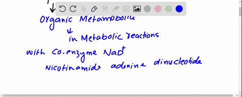 what-form-of-these-coenzymes-nad-fadhis-used-in-shuttling-electrons-down-the-electron-transport-chain-the-oxidized-or-the-reduced-form-explain-your-answer-71648