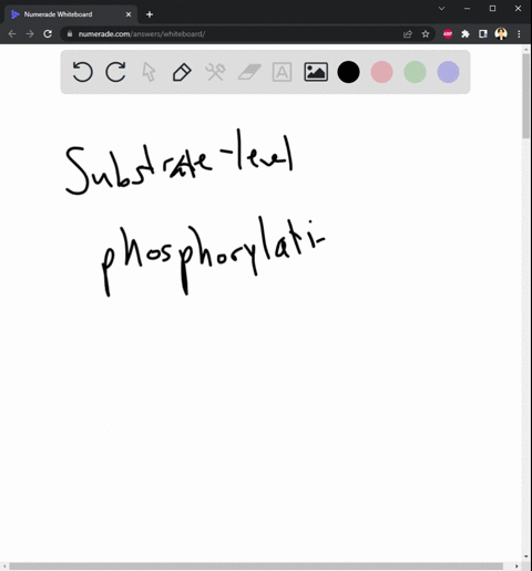 substrate-level-phosphorylation-broadly-refers-to-synthesis-of-atp-via-reactions-in-glycolysis-synthesis-of-glucose-via-gluconeogenesis-requiring-6-atp-phosphorylation-of-glycolytic-substrat-92121