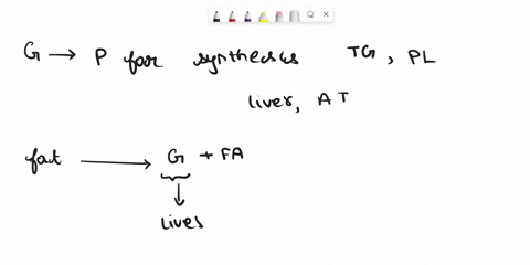 question-7-which-of-the-following-contains-glycerol-as-part-ofits-structure-a-simple-lipids-b-complex-lipids-c-plasma-membrane-dall-of-the-above-question-8-organic-compounds-that-contain-onl-04937