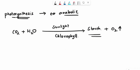 which-of-the-following-is-not-a-benefit-of-the-process-of-photosynthesis-evolving-on-earth-a-filtering-of-uv-light-b-reduction-of-atmospheric-co2-c-increase-in-atmospheric-o2-d-increase-in-a-47546