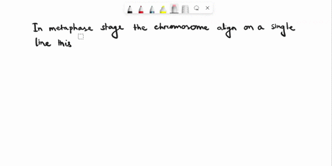 24the-stage-at-which-chromosomes-aggregate-along-the-equator-of-a-cell-is-aprophase-bmetaphase-canaphase-dtelophase-25-protein-synthesis-involves-an-anticodon-a-base-triplet-and-a-codon-thes-65656