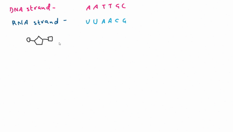 draw-an-mrna-strand-thats-complementary-to-the-dna-strand-aattgc-circle-a-nucleotide-jato-mrna-dna-66219
