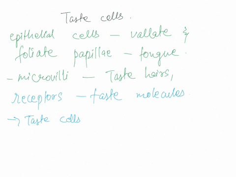 which-of-the-following-is-not-true-of-taste-cells-o-they-have-nerve-fibers-that-carry-taste-signals-to-the-medulla-oblongata-othey-are-located-primarily-on-vallate-and-follate-papillae-they-00255
