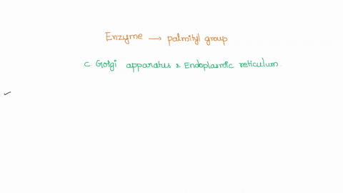 you-have-identified-an-enzyme-that-appears-to-be-involved-in-the-addition-of-palmityl-group-a-fatty-acid-to-certain-proteins-knowing-that-palmitoylated-proteins-are-usually-targeted-for-deli-02117