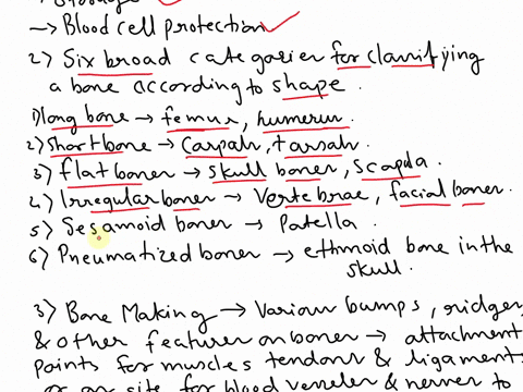 please-be-clear-and-correct-in-your-answer-dont-copy-n-paste-in-these-answers-thanks-unit-2-lesson-2-osseous-tissue-and-bone-structure-name-the-five-primary-functions-of-the-skeletal-system-95604