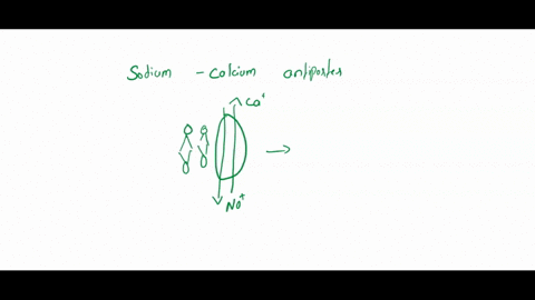assuming-this-is-a-diagram-of-the-plasma-membrane-of-an-animal-which-of-the-ions-is-moving-down-its-concentration-gradient-sodium-calcium-3na-exchanger-plasma-membrane-ca2-cytosol-calcium-io-73976