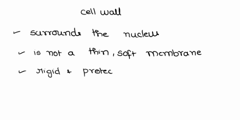 a-cell-wall-is-the-thin-soft-membrane-that-surrounds-the-nucleus-of-each-cell-86465