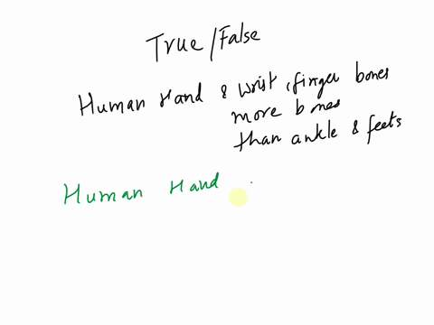 true-or-false-you-have-more-bones-in-your-wrist-hands-and-fingers-than-your-ankles-and-feet-92701