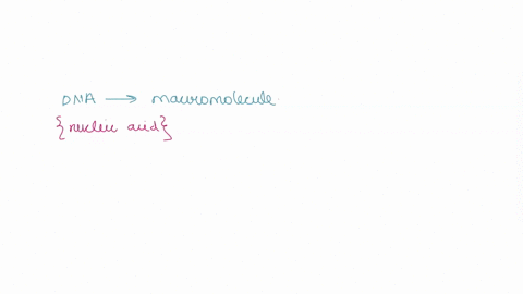 dna-is-a-macromolecule-called-nucleic-acid-a-polymer-what-is-the-monomer-subunit-one-part-of-dna-called-99565