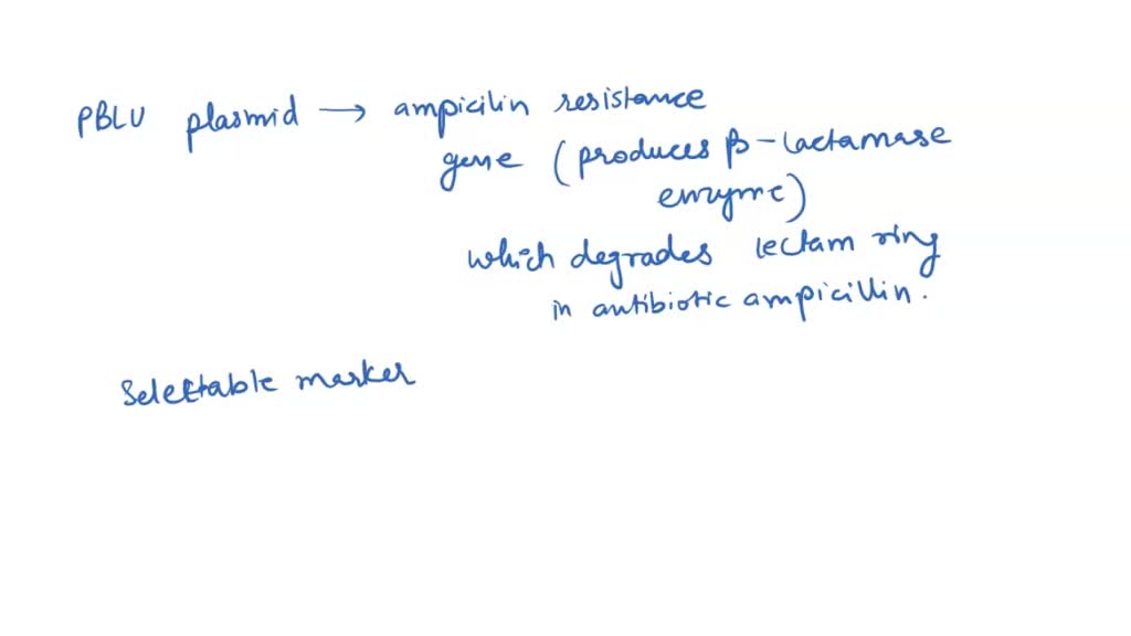 SOLVED 7) What is the selectable marker (in generic term), color