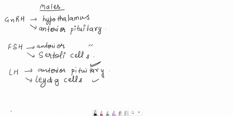 that-resultdetailsdetails-vt12pt-discuss-the-role-of-gnrhlhfsh-in-theformation-of-gametes-be-sure-to-include-targets-and-htmleditor-05044
