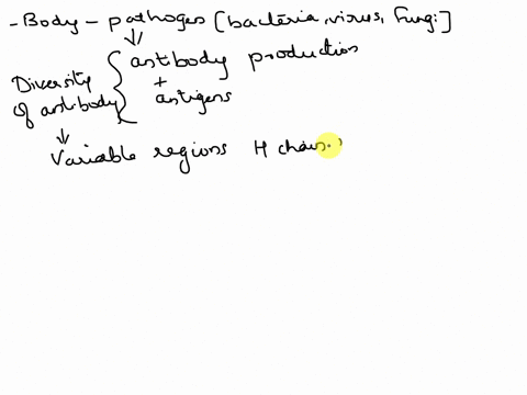 describe-all-of-the-mechanisms-for-the-diversity-of-antibodies-45012