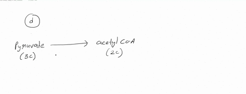 which-of-the-following-reactions-the-tca-cycle-have-tne-most-simnilar-reaction-mechanism-as-the-conversion-pyruvate-coa-acetyi-oxidation-of-succinate-oxaloacetate-oxldative-decarboxylation-o-07127