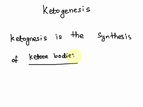 part-a-what-ketogenesis-drag-the-terms-on-the-left-to-the-appropriate-blanks-on-the-right-to-complete-the-sentences-reset-help-glycerol-ketogenesis-is-the-synthesis-of-from-excess-from-pyruv-45609