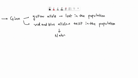 there-are-3-alleles-in-the-population-red-yellow-and-blue-after-28-generation-the-yellow-allele-was-eliminated-from-the-population-the-blue-and-red-allele-frequencies-were-approximately-04-a-28125