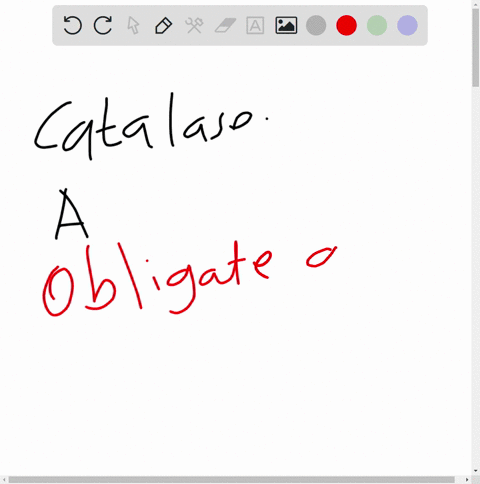 which-of-the-following-types-of-orgnisms-possess-the-enzyme-catalase-a-obligate-aerobe-b-obligate-anaerobe-c-facultative-anaerobe-d-both-a-b-69817