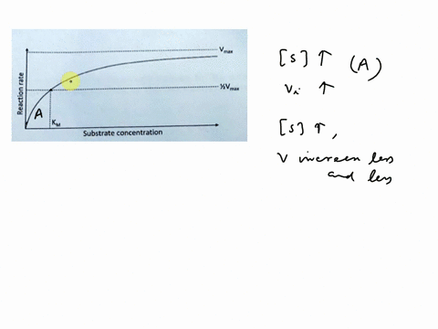 the-following-is-michaelis-menten-curve-label-on-this_gaph-the-following-as-s-increases-the-initial-rate-or-velocity-vo-increases-label-as-a-as-s-increases-v-increases-less-and-less-label-as-62915
