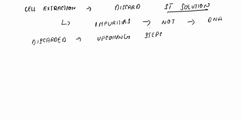 22-preparation-of-the-cell-extract-step-3-why-did-you-discard-the-supernatant-briefly-explain-what-the-supernatant-should-containnot-contain-step-5-why-do-you-add-sds-explain-what-sds-does-w-80327