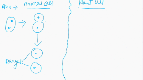 classify-each-of-the-characteristics-as-describing-animal-cell-cytokinesis-or-plant-cell-cytokinesis-animal-cell-cytokinesis-plant-cell-cytokinesis-answer-bank-4-ccl-al-tofms-dctwccn-dauwhic-13254