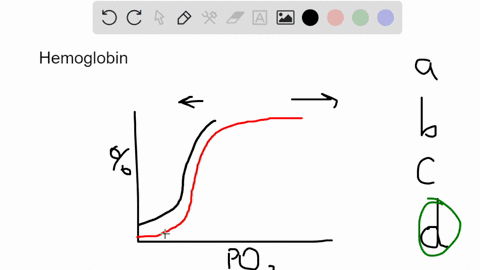 which-of-the-following-factors-play-a-role-in-the-oxygen-hemoglobin-saturationdissociation-curve-a-t-45586