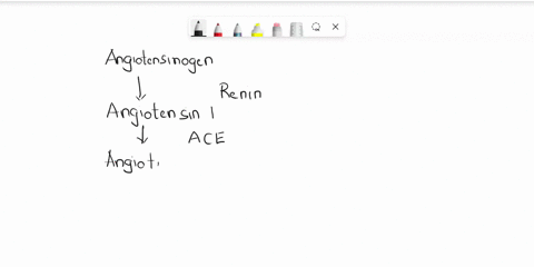 ace-inhibitors-block-conversion-of-angiotensinogen-to-angiotensin-i-conversion-of-angiotensinogen-to-renin-conversion-of-angiotensinogen-to-angiotensin-ii-conversion-of-angiotensin-i-to-angi-89223