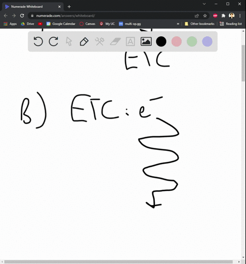 describe-how-the-flow-of-electrons-through-cellular-respiration-eventually-leads-to-the-production-of-atp-be-sure-to-address-each-of-the-following-in-your-description-a-what-is-the-primary-m-08475