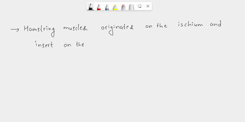 name-the-muscles-that-cross-both-the-hip-and-knee-joints-and-produce-actions-at-both-89629