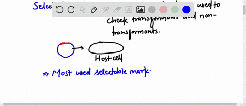 describe-2-other-antibiotic-selection-markers-and-how-they-may-be-used-to-select-cells-that-have-been-transformed-with-plasmid-dna-25-marks-63523
