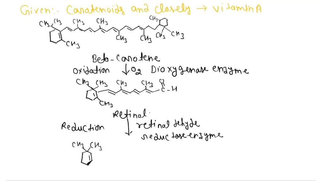SOLVED The structures of some carotenoids are closely related to that