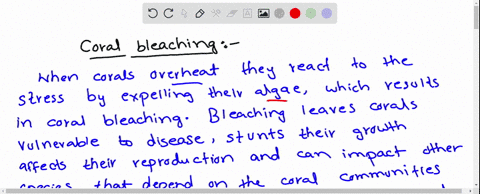 what-is-coral-bleaching-how-these-phenomena-affect-biological-diversity-in-marine-ecosystems-13722