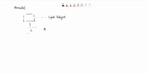 ldraw-the-equivalent-circuit-of-a-pure-lipid-bilayer-no-ion-channels-or-pumps-write-down-the-equation-that-calculates-the-currenti-through-the-lipid-bilayer-when-the-external-voltage-v-is-ap-89745