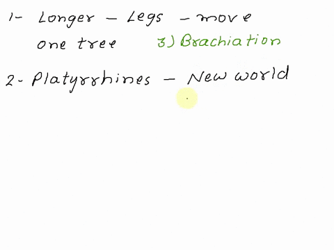 question-which-of-the-following-locomotion-is-associated-with-having-longer-arms-than-legs-quadrupedalism-bipedalism-brachiation-leaping-question-catarrhines-include-only-the-new-world-monke-47498