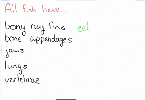 which-of-these-is-present-in-all-fishes-select-one-a-fins-supported-by-bony-rays-b-bone-containing-appendages-cjaws-d-lungs-e-vertebrae-ner-95451