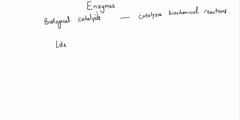 which-statement-best-describes-the-function-of-enzymes-a-enzymes-aid-biological-reactions-by-providing-more-reactants-b-enzymes-aid-biological-reactions-by-removing-products-quickly-c-enzyme-62547