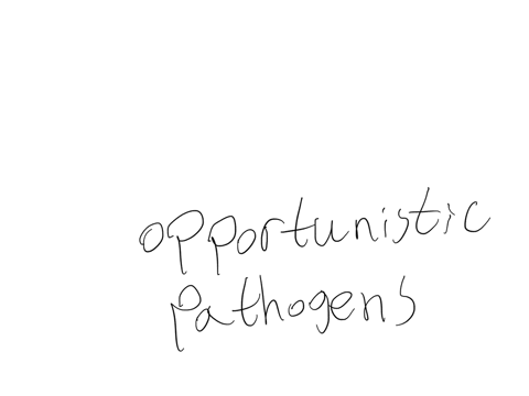 when-can-indigenous-or-supplemental-microbiota-become-pathogenic