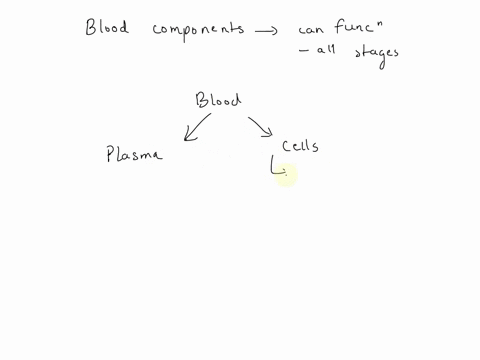 which-of-the-following-blood-components-can-be-used-by-the-body-in-all-its-stages-red-blood-cells-blood-platelets-white-blood-cells-proteins-of-plasma-74388