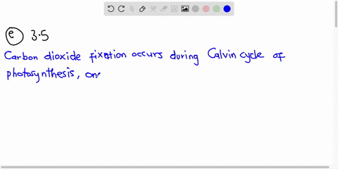 how-many-six-carbon-sugar-molecules-are-generated-by-the-calvin-cycle-when-21-co2-are-fixed-a-6-b-9-c-7-d-3-e-35-22415
