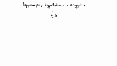 the-hippocampus-hypothalamus-and-amygdala-are-all-parts-of-the-_____-system-46397