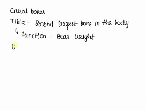 which-of-the-following-choices-accurately-describes-the-crural-bones-both-the-tibia-and-fibula-are-weight-bearing-only-the-fibula-is-weight-bearing-only-the-tibia-is-weight-bearing-neither-t-20169