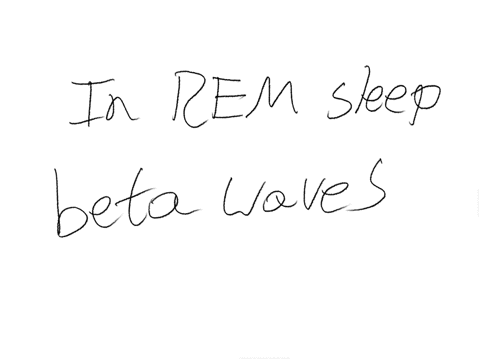 when-you-are-in-rem-sleep-your-brain-produces-mostly-delta-waves-beta-waves-theta-waves-some-delta-waves