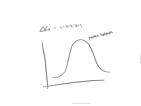 proteins-are-thermodynamically-unstable-the-delta-g-of-hydrolysis-is-very-negative-yet-proteins-appear-quite-stable-especially-in-your-cells-explain-this-apparent-paradox-and-what-does-it-te-24137