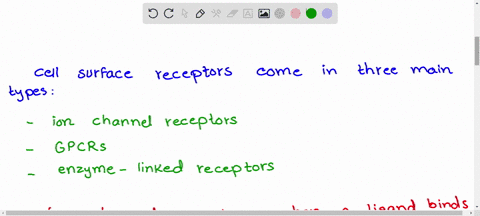 which-of-these-is-not-a-type-of-receptor-a-gpcrs-b-enzyme-coupled-receptors-c-monomeric-g-proteins-d-ligand-gated-ion-channels-49037